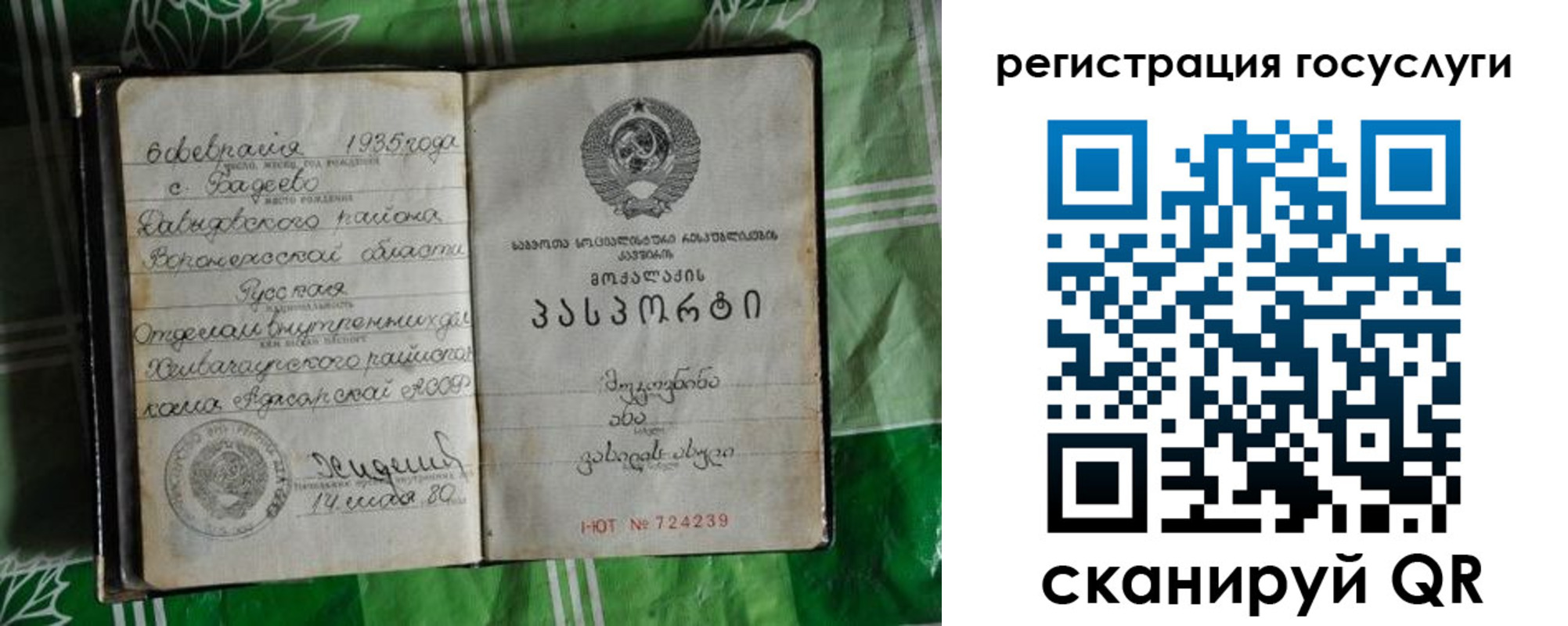 прописка в квартире в Мончегорске